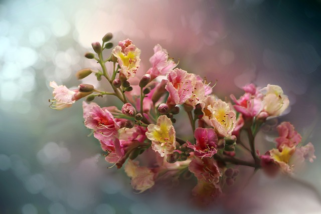 Healing essence Cheryl Colpman
